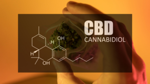 Where Is The CBD Market Headed?