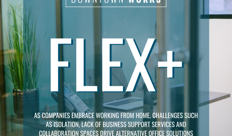 Flex Plus Promo Flyer