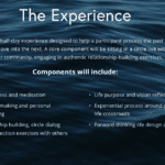 Reconnect: An Experience by Evolution